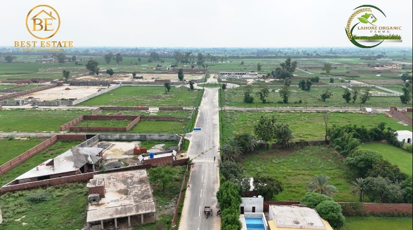 Aerial view of the developed internal road network — Lahore Organic Farms