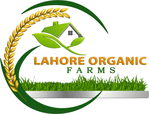 Lahore Organic Farms — Phase 1 logo