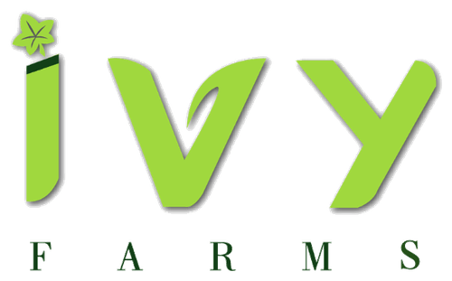 Ivy Farms logo